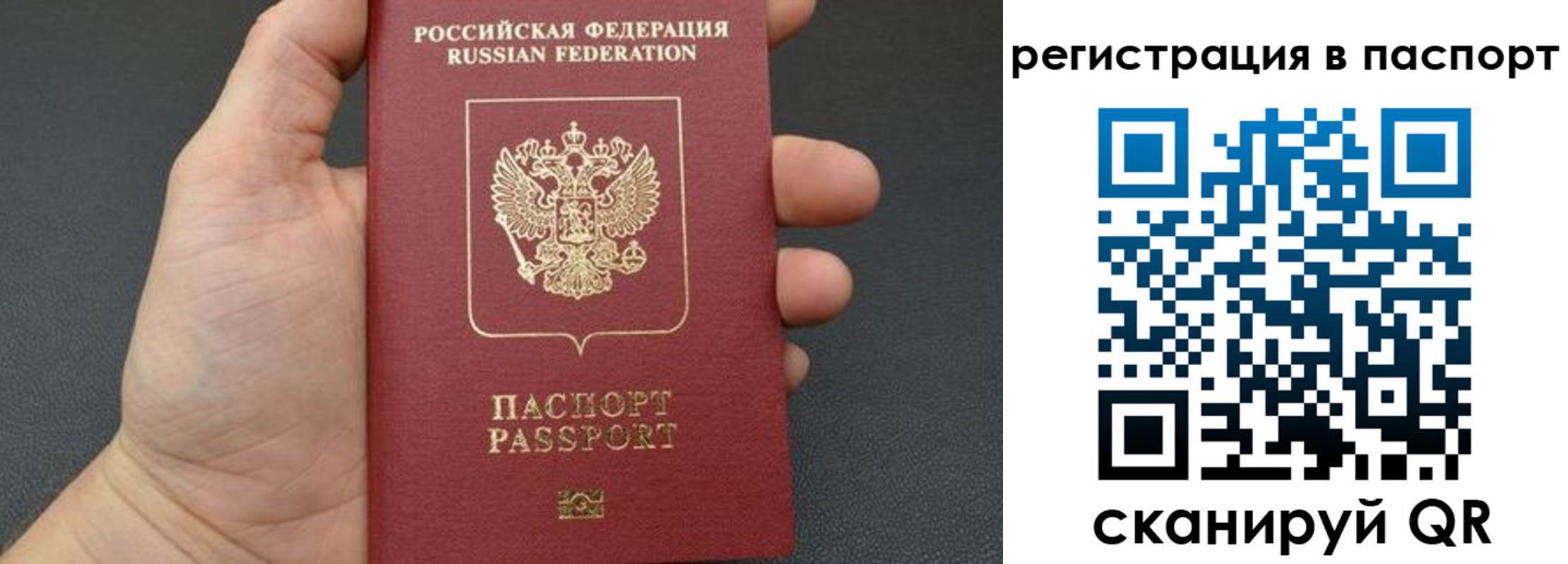 временная регистрация собственник в Петропавловске-Камчатском